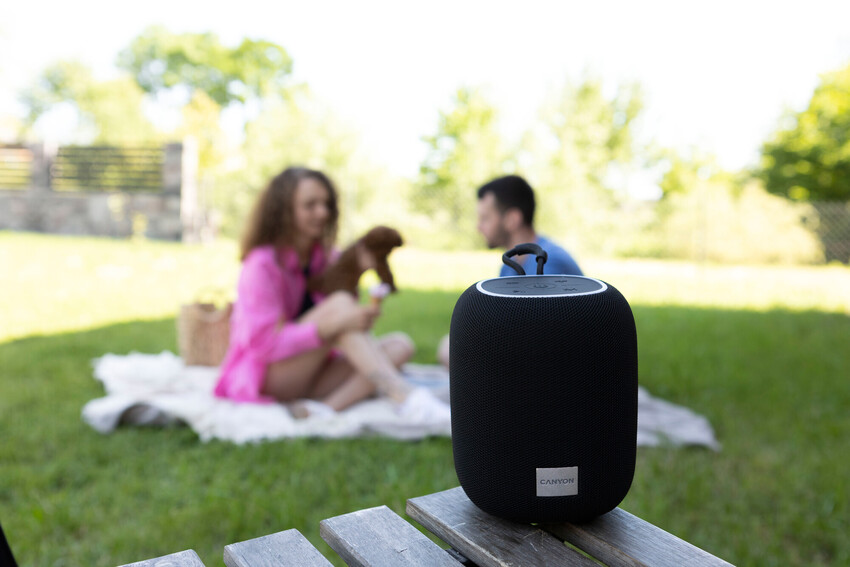 Bluetooth speaker buying guide: how to choose Bluetooth speakers